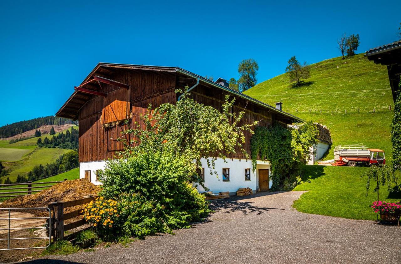 Lindbichlhof Urlaub Am Bio Bauernhof Apartment Sankt Johann im Pongau Exterior photo